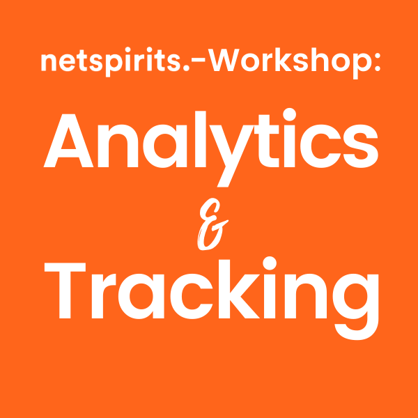 netspirits-Dienstleistung: Analytics- & Tracking-Workshop