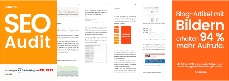 SEO-Audit für die DLRG